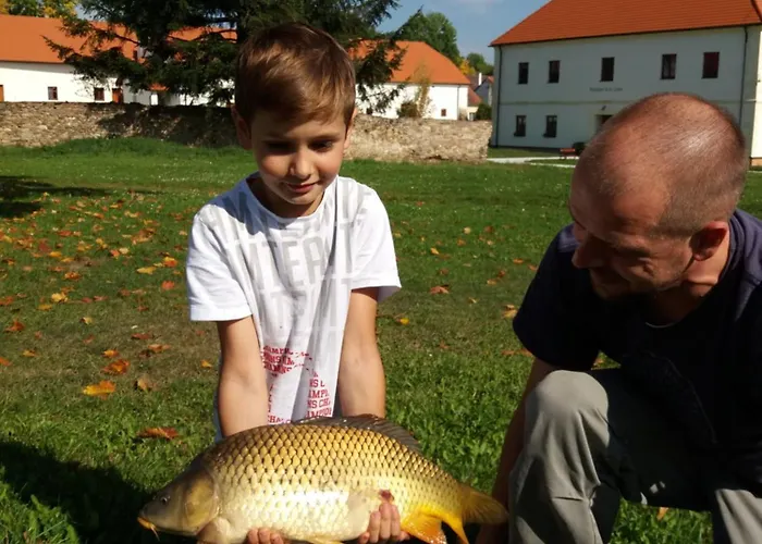 Kraselovsky Dvur Affittacamere 3*